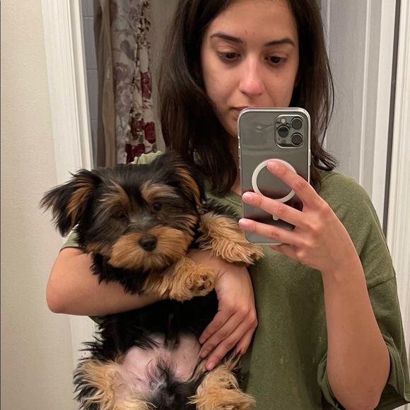 Meet your Posher, Sarah - Picture 1 of 1